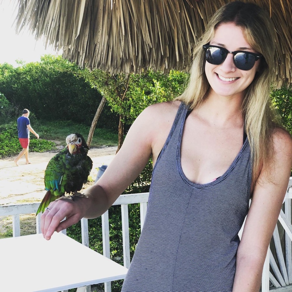 Meet your Posher, Allie